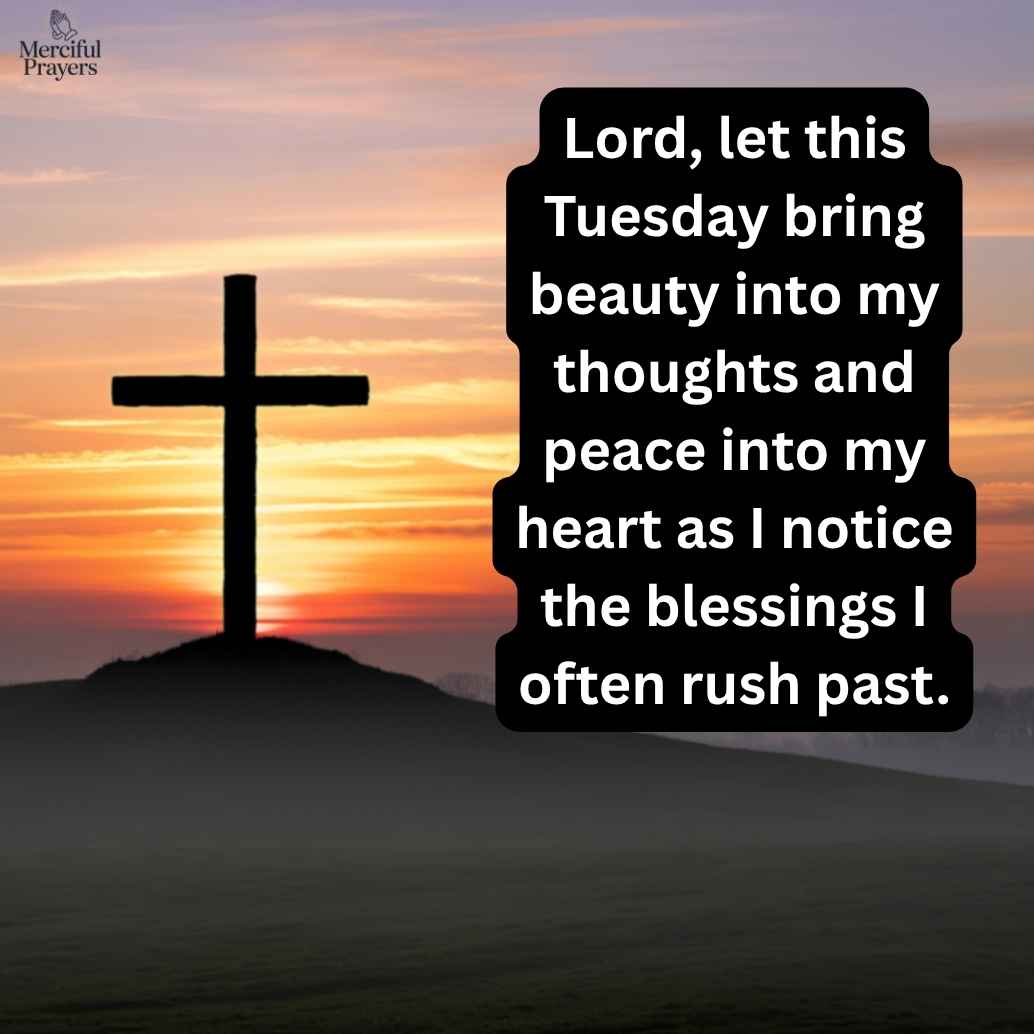 beautiful-thankful-tuesday-blessings-and-prayers Beautiful Thankful Tuesday Blessings and Prayers