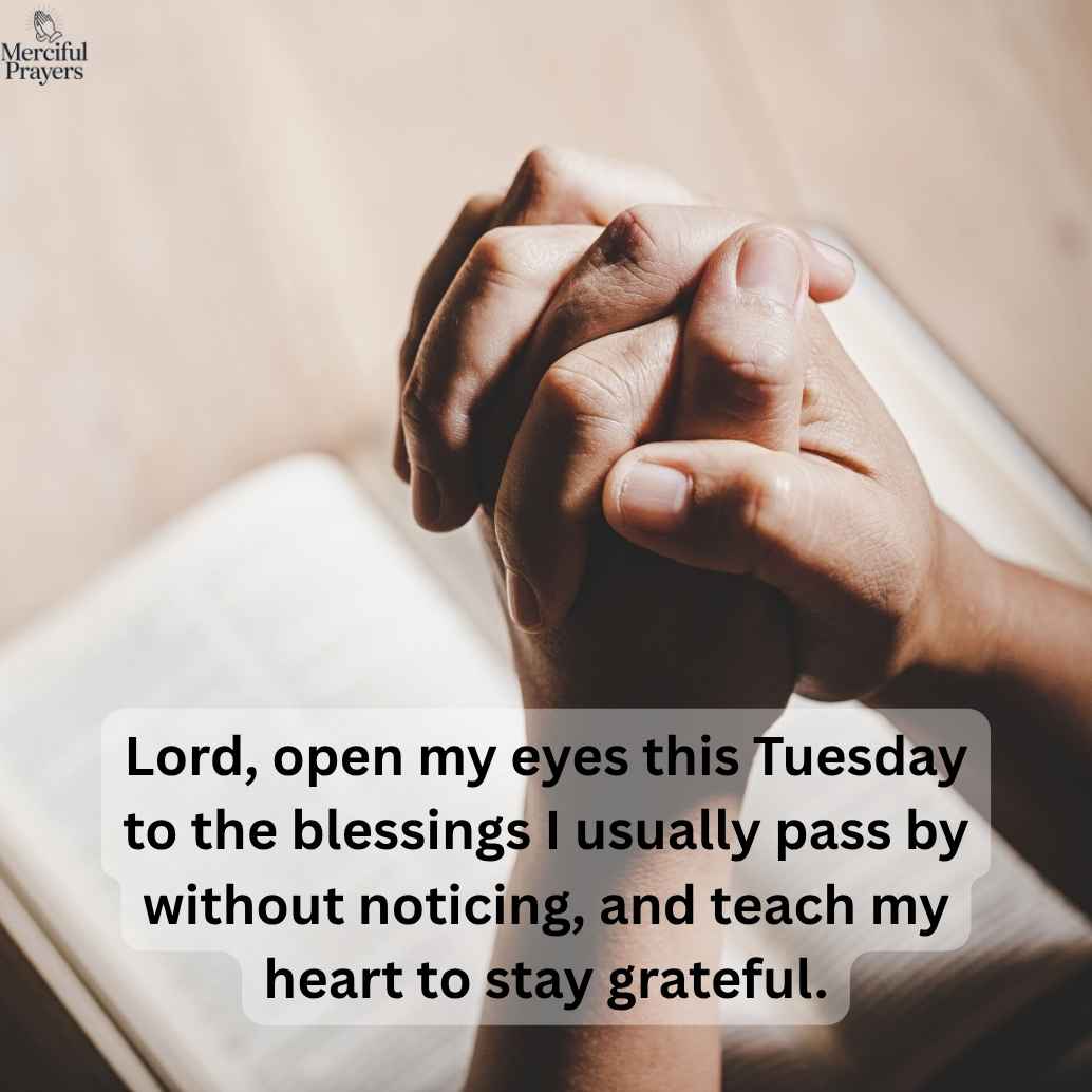 tuesday-gratitude-blessings-for-a-thankful-heart Tuesday Gratitude Blessings for a Thankful Heart