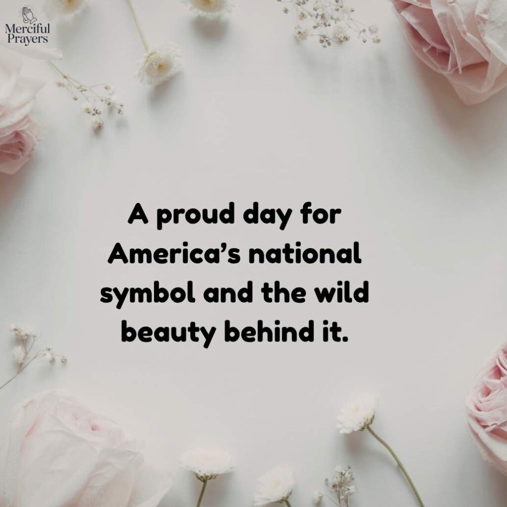 American Eagle Day Instagram Captions and Facebook Status Ideas