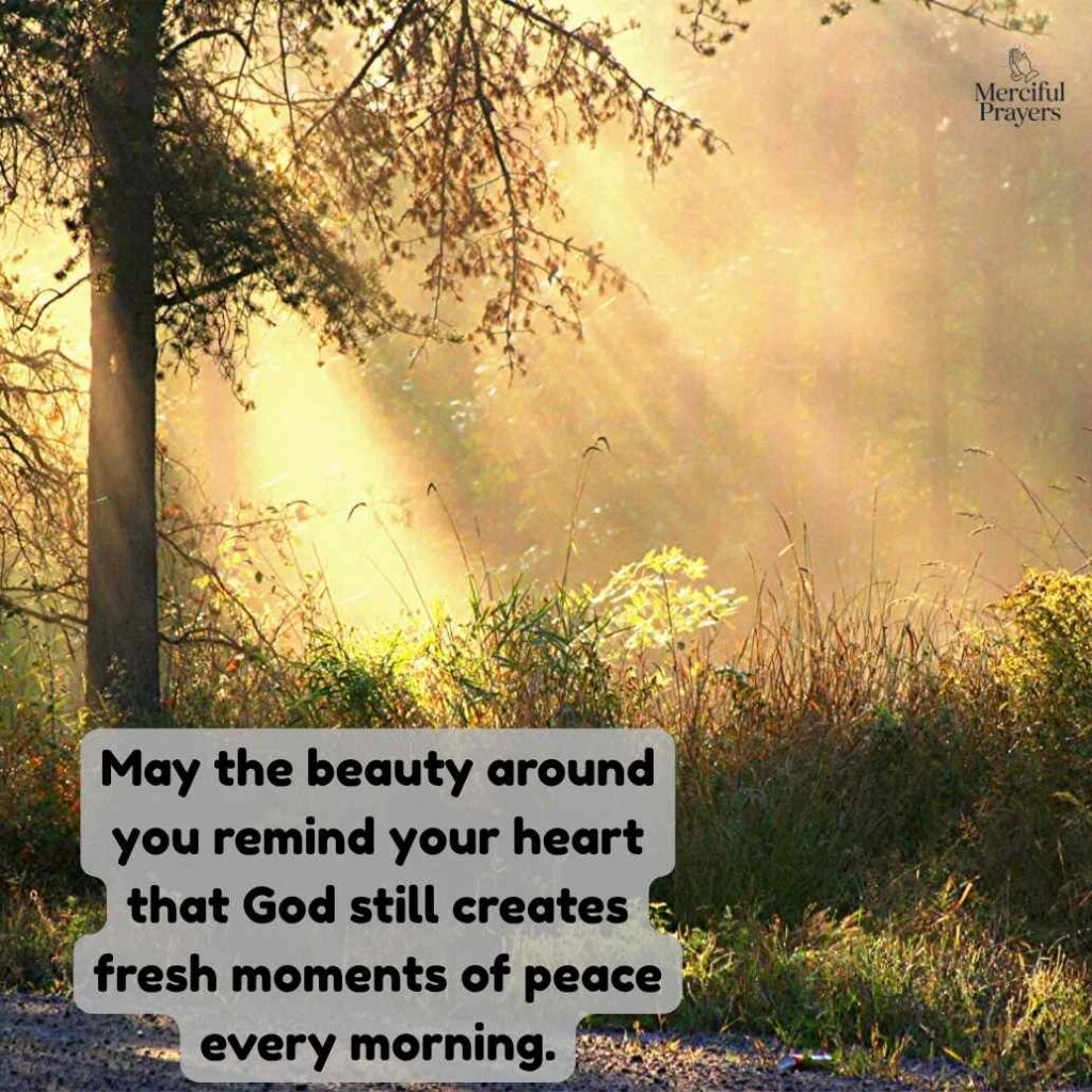 Beautiful Good Morning Blessings Images and Quotes