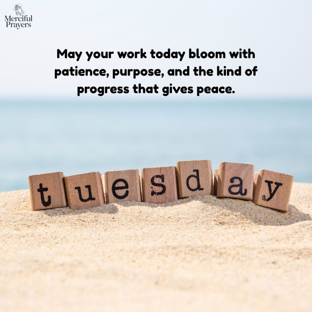 Beautiful Tuesday Quotes to Brighten the Day