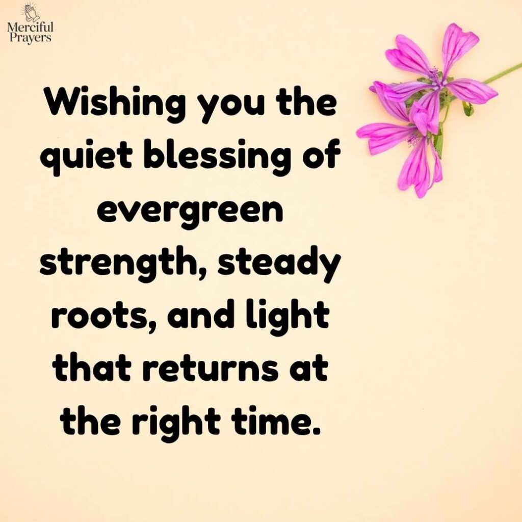 Nature Winter Solstice Sayings for the Longest Night