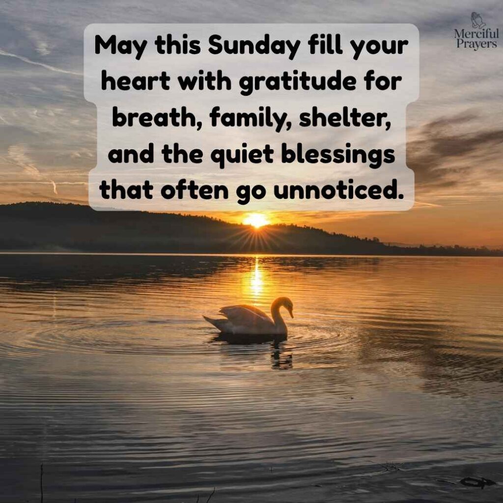 Thankful Sunday Blessings for Gratitude and Joy