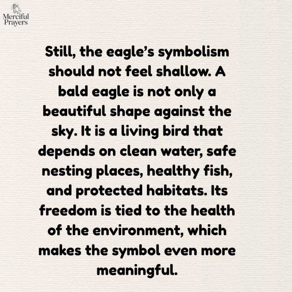 Why the Bald Eagle Is a Powerful Symbol of Freedom